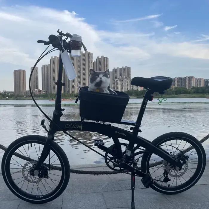 Mir de vélo pour animaux de compagnie