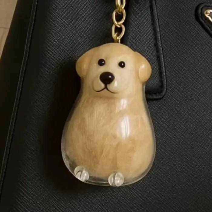 Porte-clés commémoratifs transparents pour stockage de poils d'animaux
