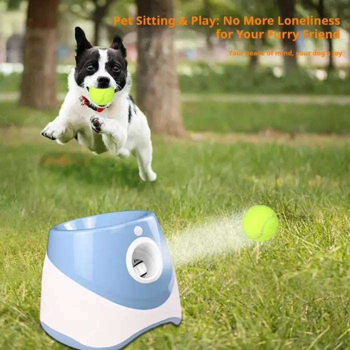 Lanceur de balles automatique pour chiens et chats