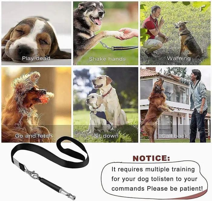 Sifflet ultrasonique pour chiens