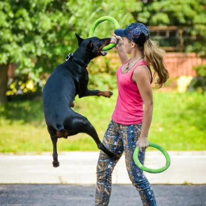 05/2019 volants OligDog pour animaux de compagnie