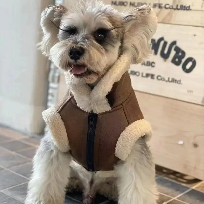 Gilet sans manches en velours pour animaux de compagnie