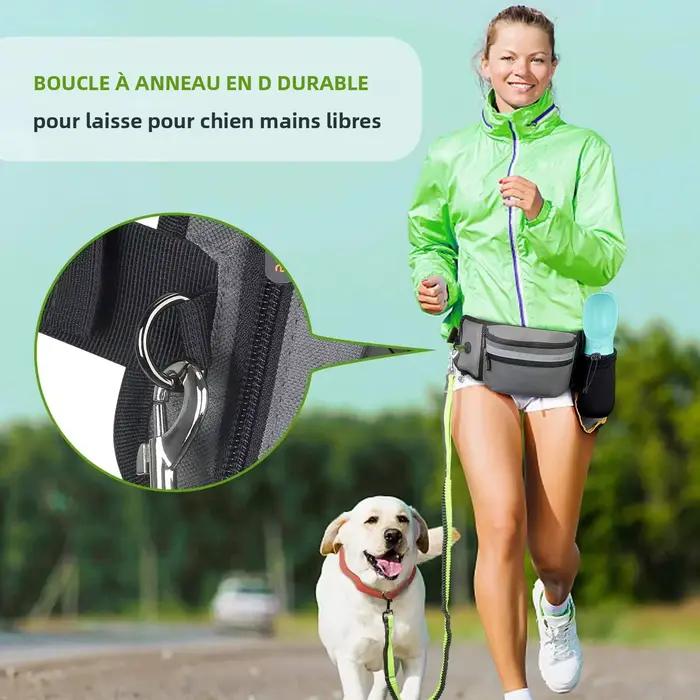 Poudres pour chien pour entraînement en plein air sac d'alimentation grand capacité récompense ajustable sac banane multi-usages balade chiens occasions spéciales
