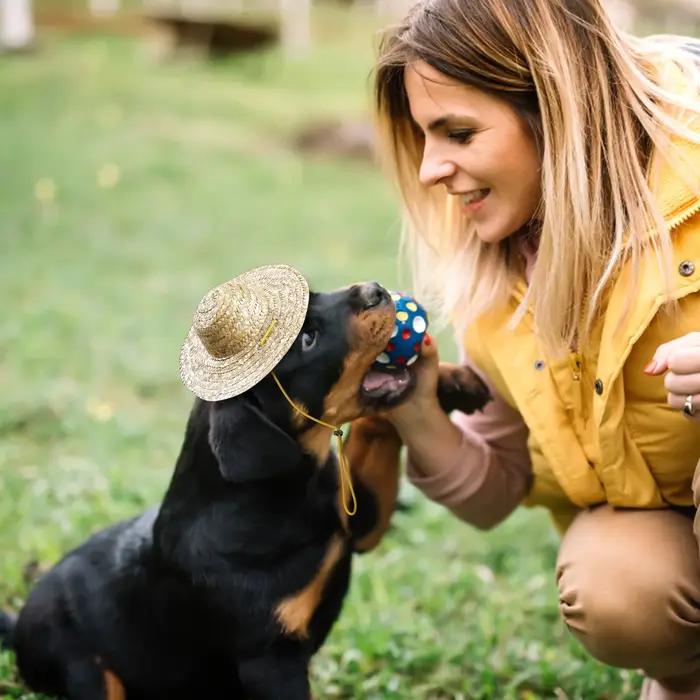Chapeau de paille rétro pour chien et chat