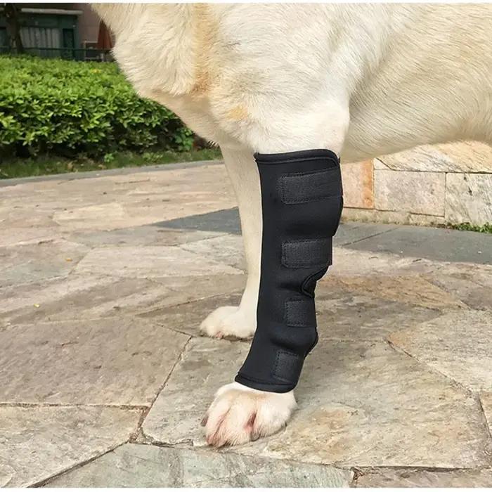 Genouillères de jambes pour chiens