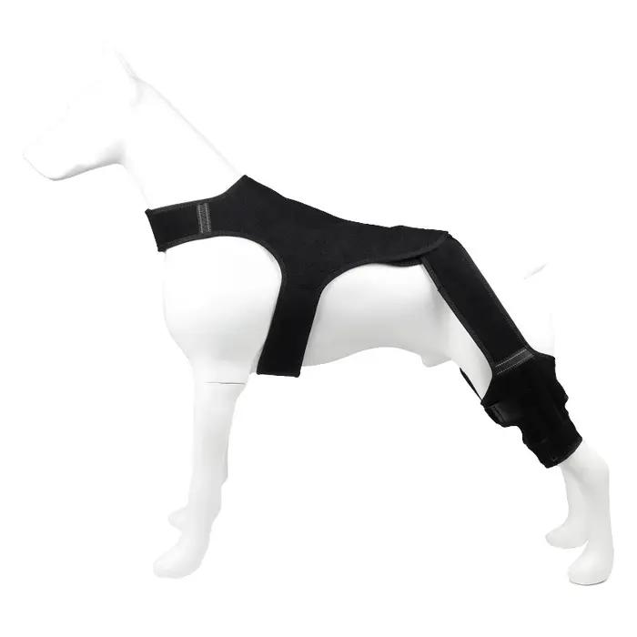 Protecteur d'articulation de la patte arrière du chien avec bande réfléchissante