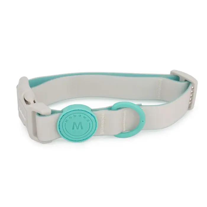 Collier pour animaux de compagnie pour chiot et petit chien