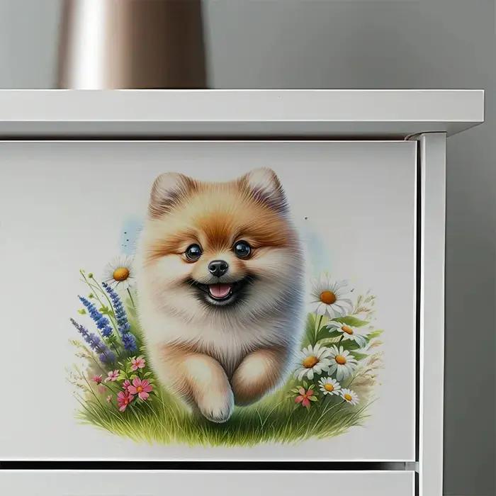 Autocollant mural auto-adhésif chien poméranien