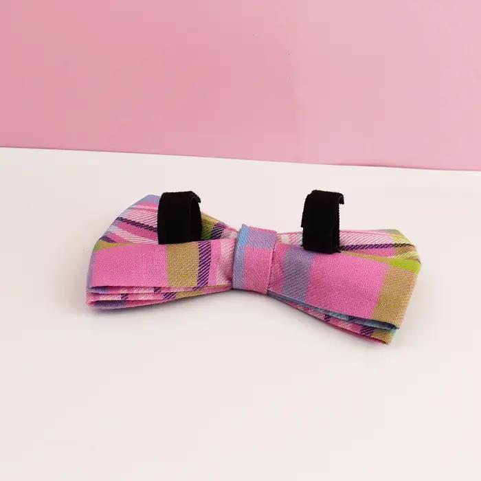 Collier rétractable personnalisable pour chien confortable et sécuritaire toutes saisons couleurs et tailles disponibles occasions spéciales