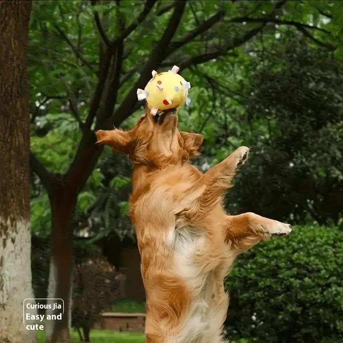 Jouet interactif pour chien avec balle sonore