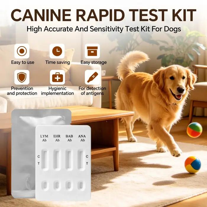Kit de test rapide combiné pour les anticorps de l'Ehrlichiose canine / de l'Anaplasme / de Lyme / de la Babiésia (EHR / ANA / LYM / BAB Ab)