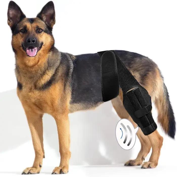 Genouillère solide pour chiens tissu pour soutenir jambes avant arrière blessées accidents chirurgie soins vétérinaires