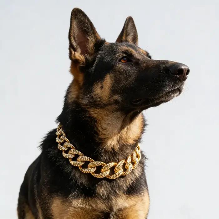 Chaîne de chien en or ABS pour petits et grands chiens
