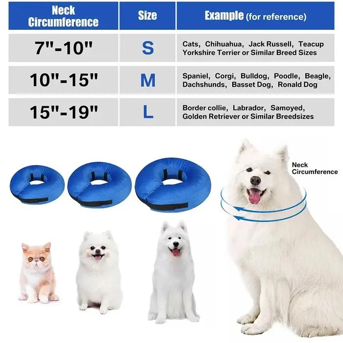 Cônes pour chiens après chirurgie