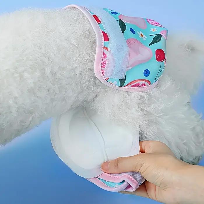30 pièces/paquet couche-culotte pour chien pour femme