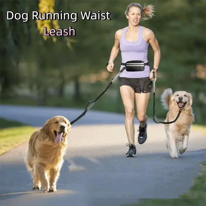 Laisse de course rétractable pour chien avec pochette zippée