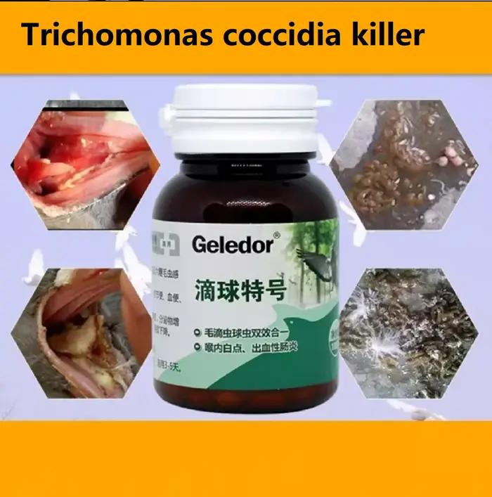 Trichomonas pigeon coccidia : infection deux-en-un