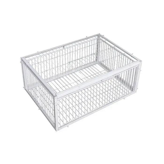 Piège automatique Cage à oiseaux