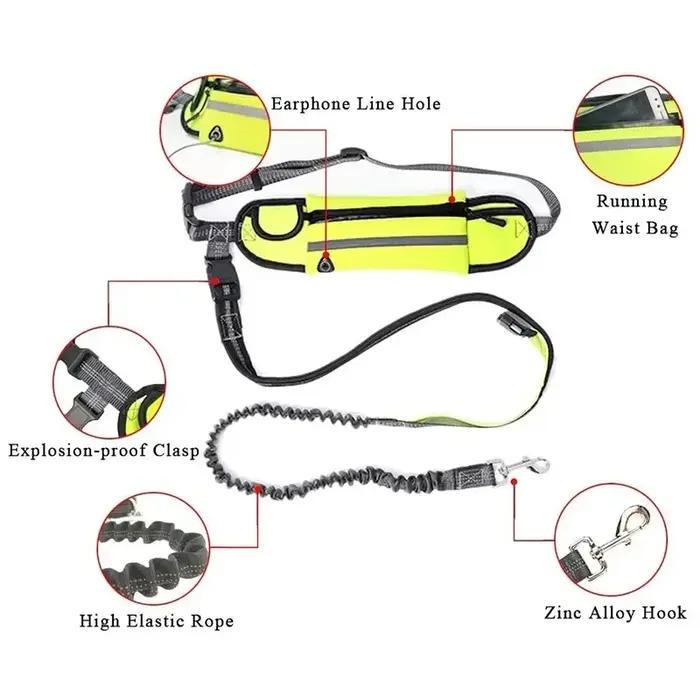 Laisse de taille en Nylon pour chien
