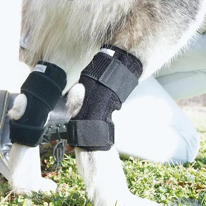 Genouillères de protection pour animaux de compagnie