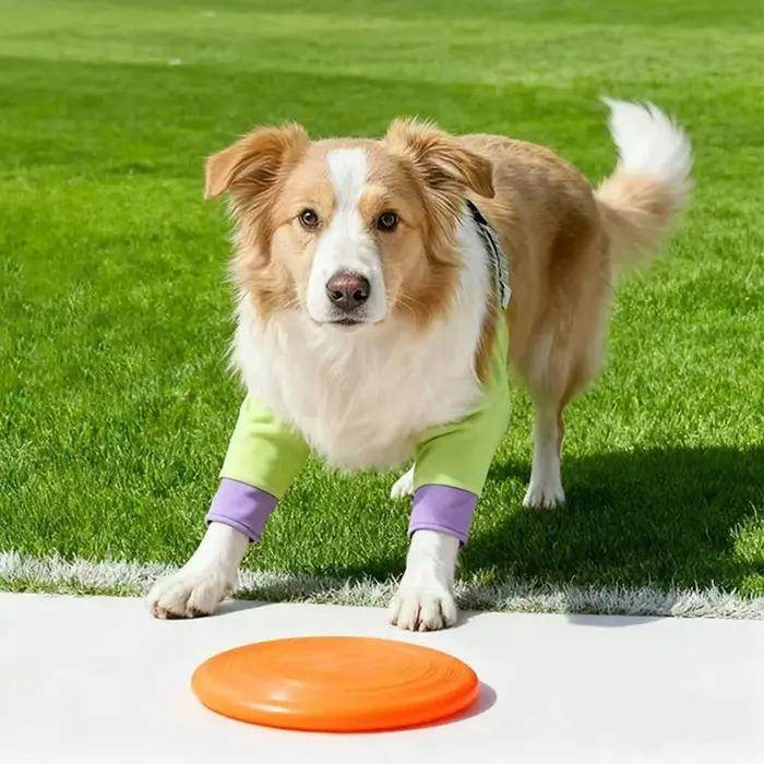 Protège-genoux respirants anti-léchage pour chien – Chaleur pratique
