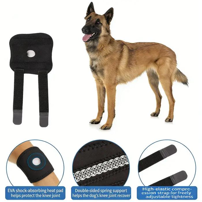 Protection des articulations et des genoux pour chiens et chats