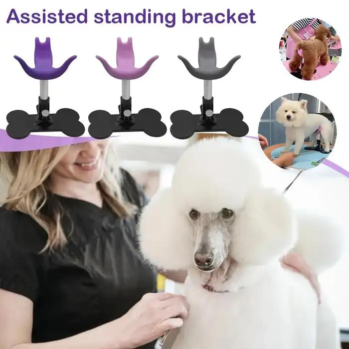 Tabouret de toilettage pour chiens en latex doux et sûr adaptable pour petits chiens usage quotidien et cadeau idéal pour amoureux des animaux