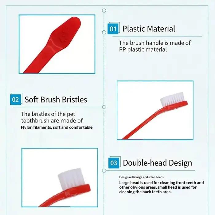 Brosse à dents pour chien et chat pour animaux de compagnie de grande et petite race