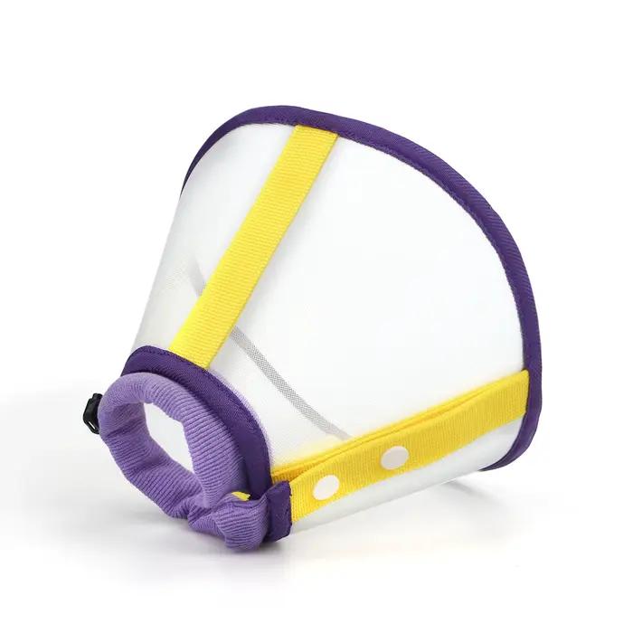 Un collier élisabéthain pour animaux de compagnie