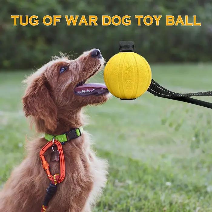 Balles de jouets pour chiens sur une corde pour chiens de petite