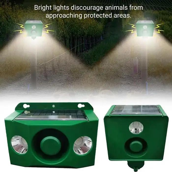 Répulsif solaire pour chiens
