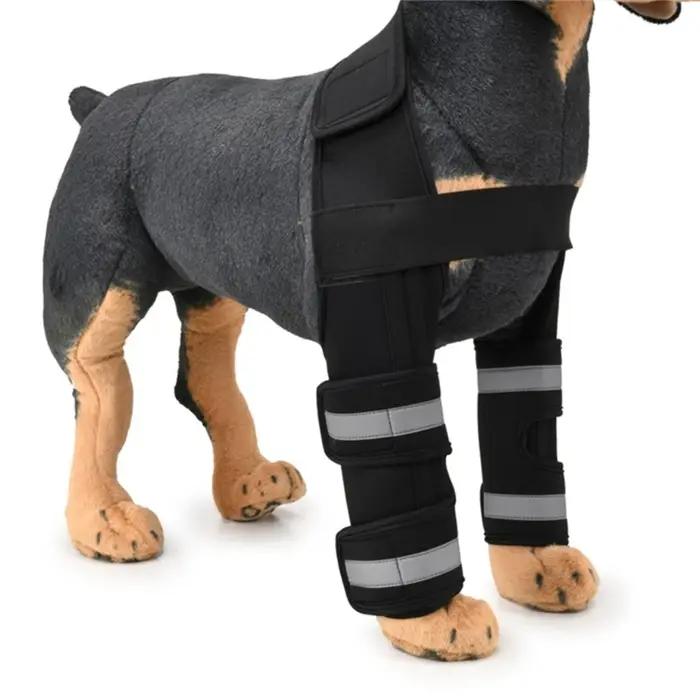 Protège-coudes avant pour chien