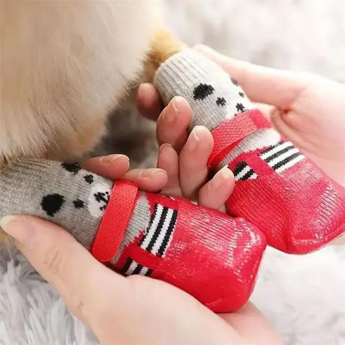 Chien chat bottes chaussures chaussettes imperméable