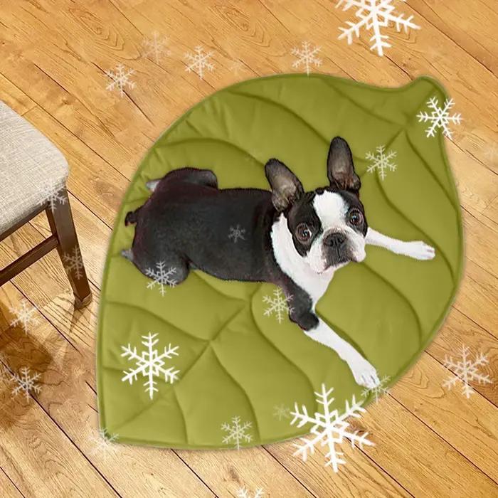 Tapis rafraîchissant pour chien et chat