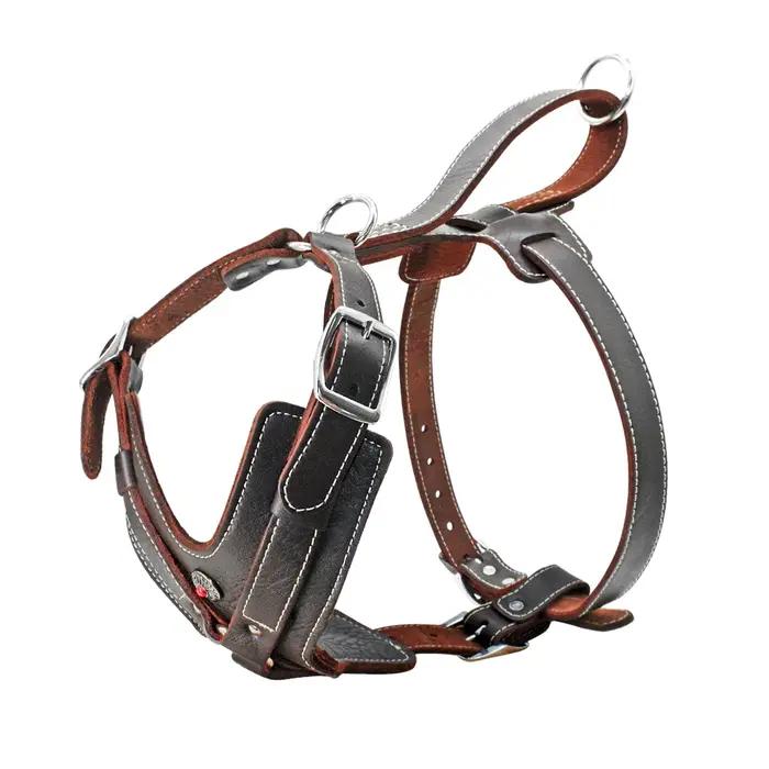 Harnais en cuir véritable Didog pour chiens de grande taille harnais de base avec poignée de contrôle rapide pour labrador pitbull toutes saisons confort sécurité et style