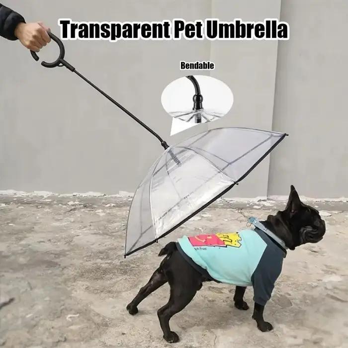 Parapluies détachables transparents pour chien