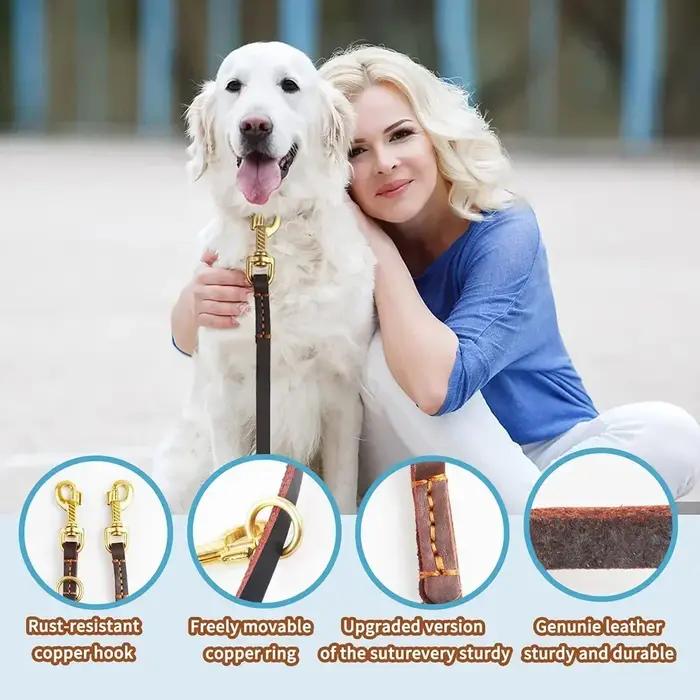 Laisse multifonctionnelle en cuir véritable pour chiens de toutes étudiés