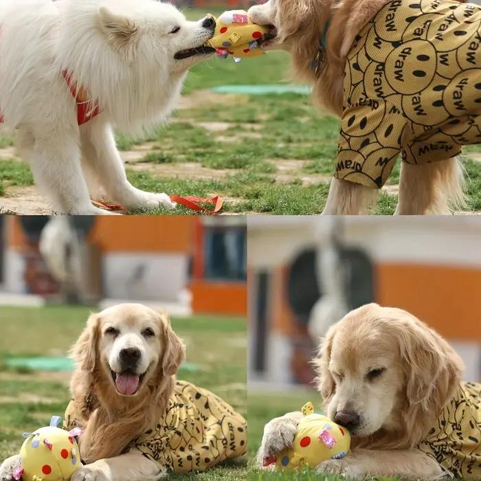 Jouet interactif pour chien avec boule sonore et motifs animaliers