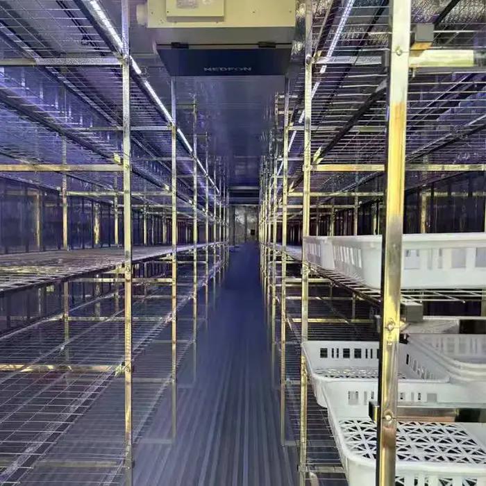 Équipement de culture de champignons à haut rendement, ferme en conteneurs à grande échelle, système d'agriculture durable, personnalisé