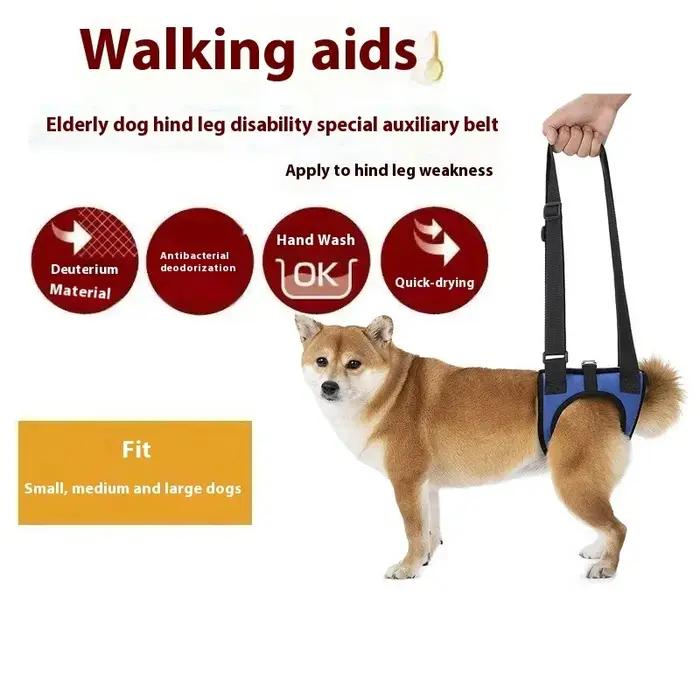 Harnais de soutien des jambes arrière pour chien senior