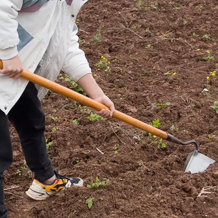 Outils agricoles, houes triangulaires à petite pointe