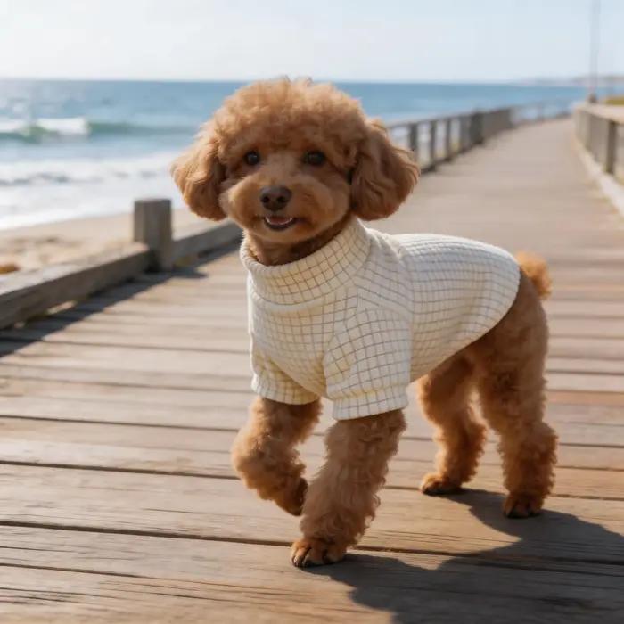 Vêtements pour chien, chemise douce et chaude pour chat