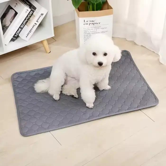 Tapis absorbant réutilisable et lavable pour chien