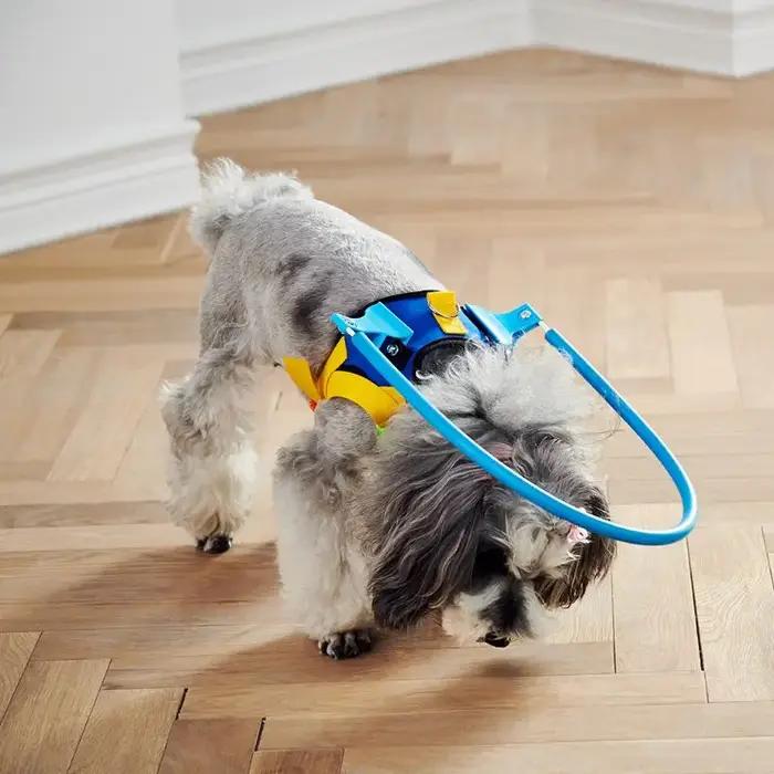 Cercle anti-collision réglable pour chien ennemi