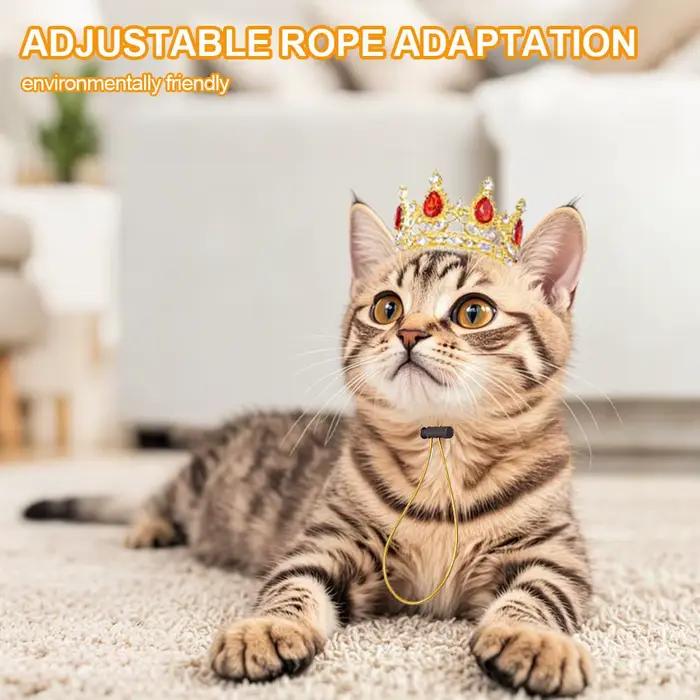Chapeau Couronne pour Animaux de Compagnie