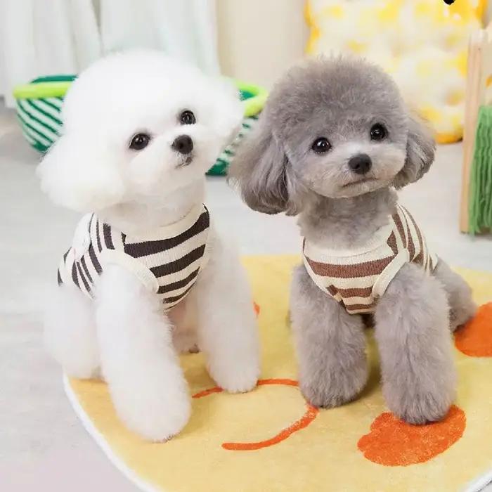 Vêtements pour chiens : Adorable gilet tricoté fin à motif d'ours avec laisse