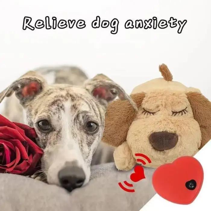 Jouet en peluche douce avec battement de cœur pour chien, réconfort et soulagement de l'anxiété, cadeau idéal pour anniversaire et occasions spéciales