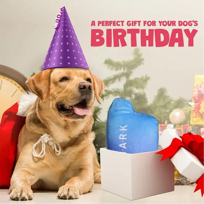 Jouets amusants pour chiens avec couineur