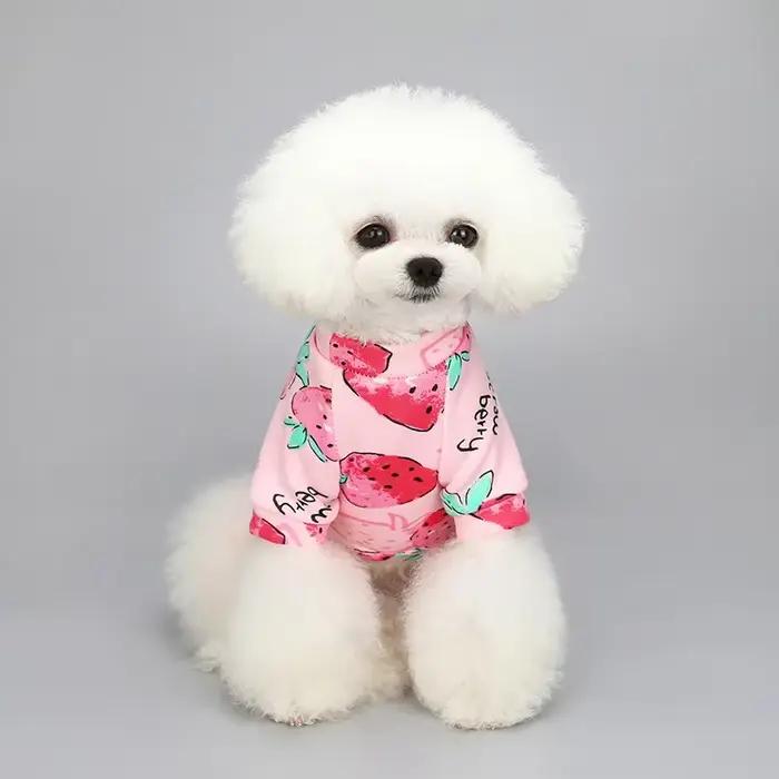 Chihuahua chien sweat chiot chat pull chiens petit