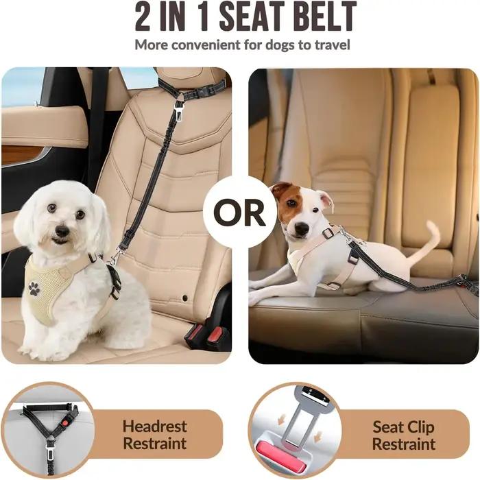 Ceinture de sécurité pour chien pour voiture